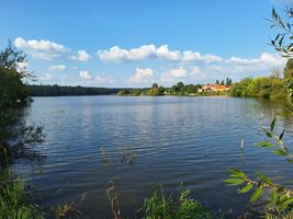 401 224 Sychrovský rybník - kontrola 19.9.24.jpg